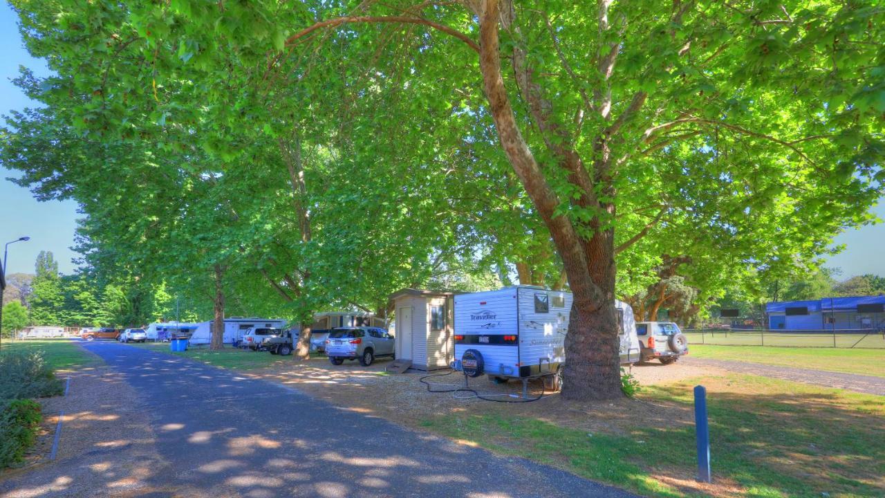 Myrtleford Holiday Park Exterior foto
